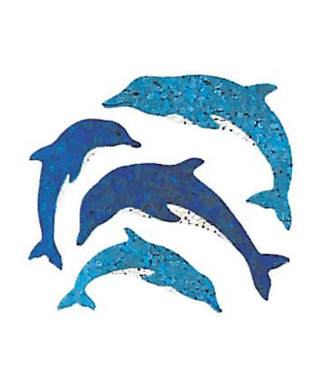 Dolphin Sticker Square