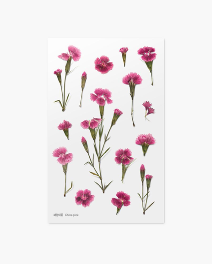 Clear Pressed Flower Sticker Sheet - China Pink