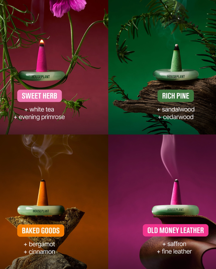 Houseplant - Incense Cones