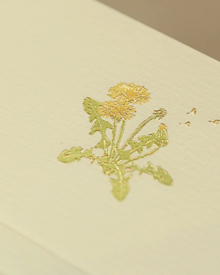 Dandelion Letter Writing Set