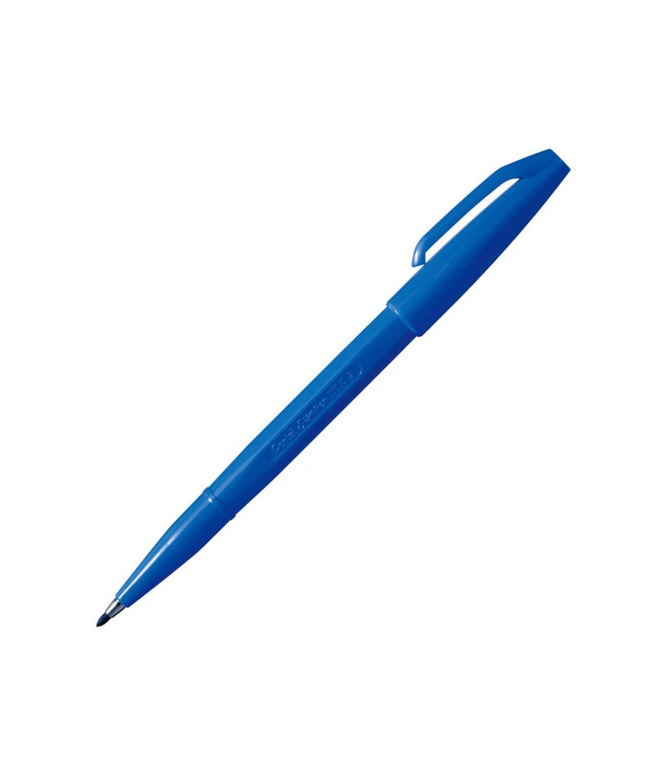 Blue Sign Pen